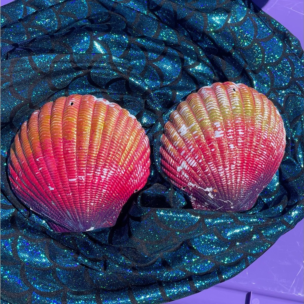 Hand Painted Shells/ Mermaid Top 🧜🏽‍♀️🐚